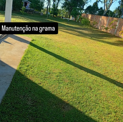 Manutenção e Corte de Grama