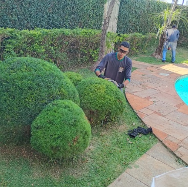 Topiaria Artística e Manutenção Verde e Vida
